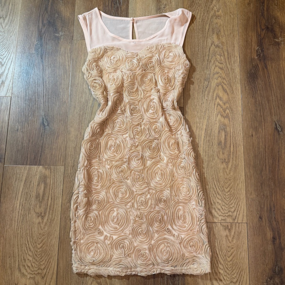 Vintage Y2K Rose Blush Dress Vintage Y2K Dress Ros Bodycon Dress Cottage Fairy